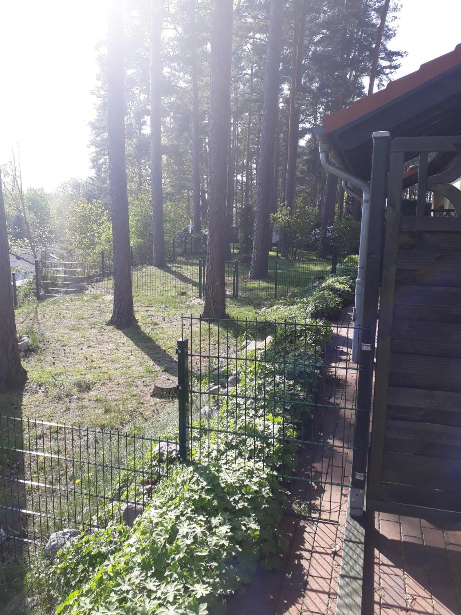 Ferienhaus Waldschneise B Am Jabeler See Buitenkant foto